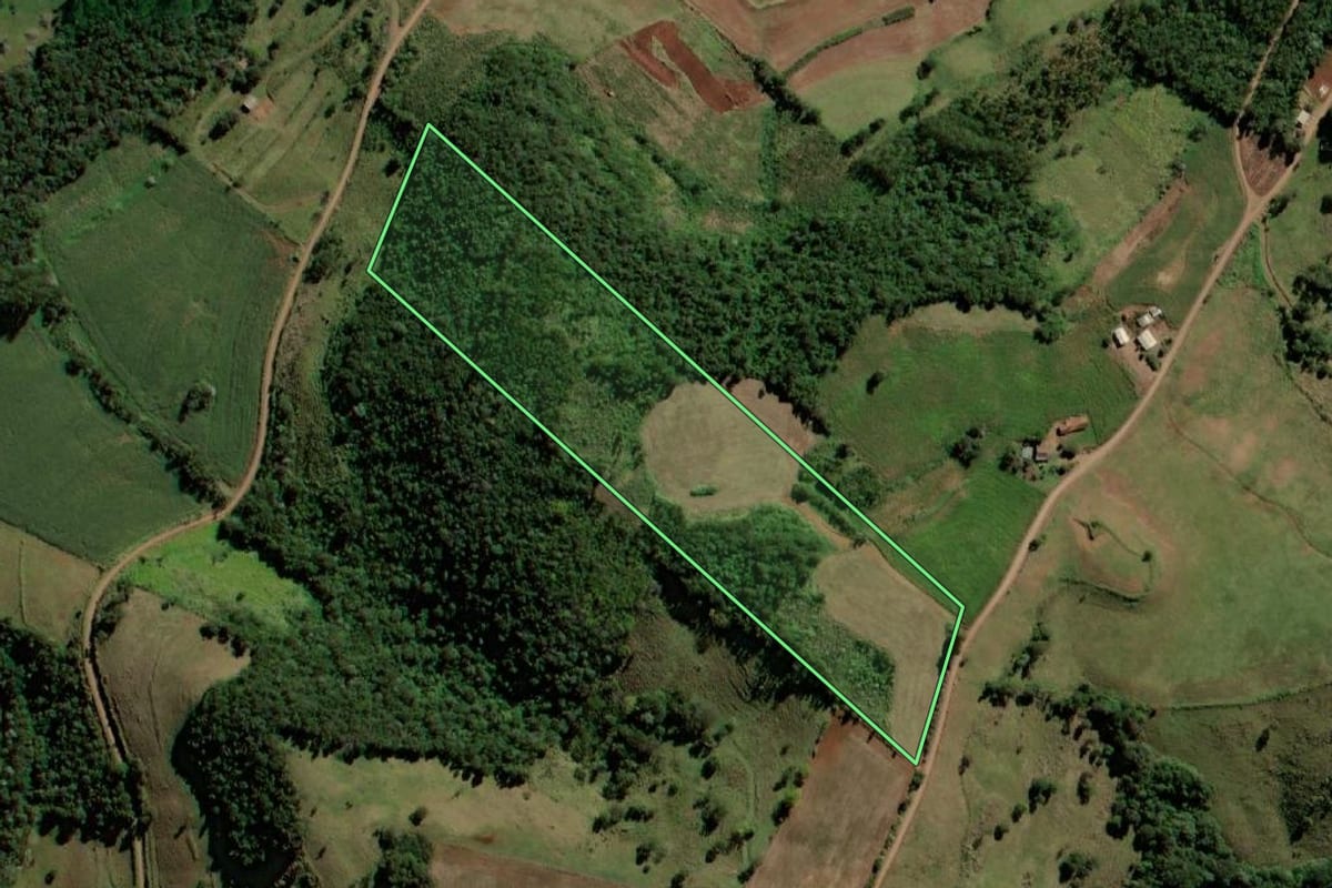 Imagem de satélite do imóvel rural em Bela Vista da Caroba (PR), com o contorno declarado no CAR desenhado por cima.