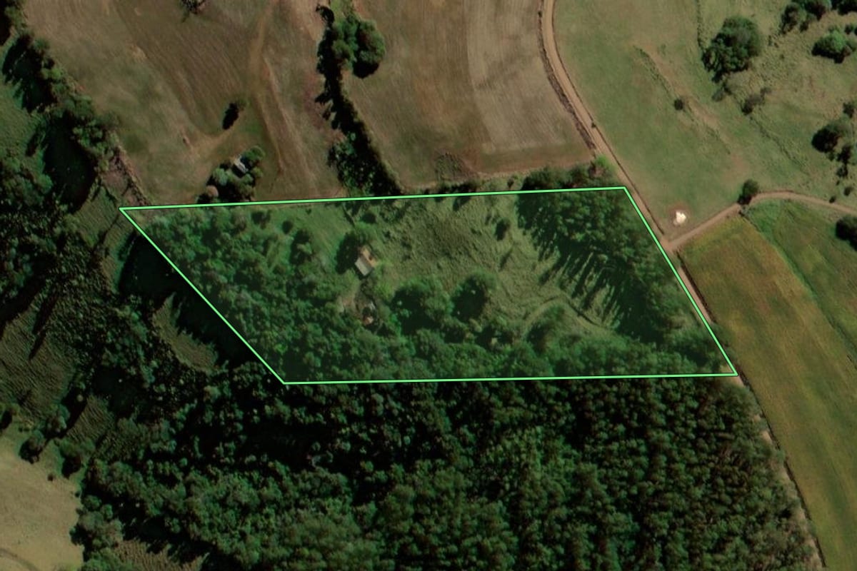 Imagem de satélite do imóvel rural em Bela Vista da Caroba (PR), com o contorno declarado no CAR desenhado por cima.
