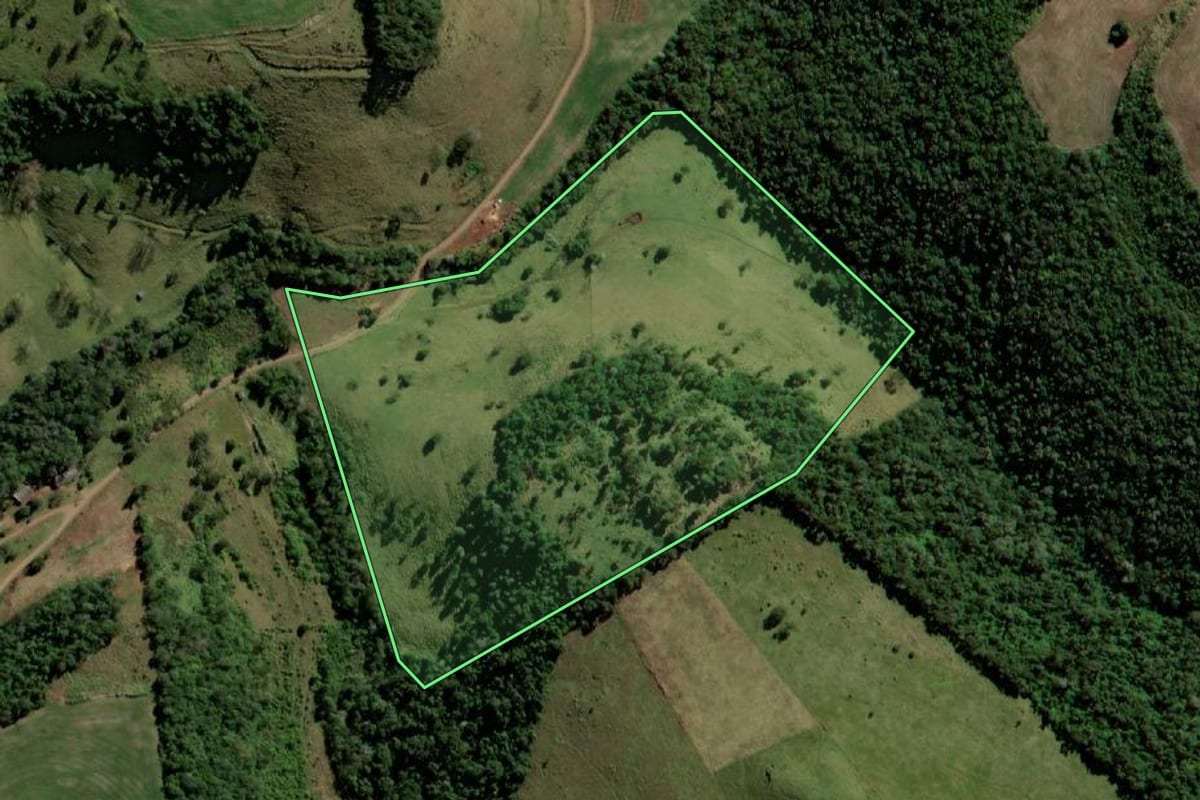 Imagem de satélite do imóvel rural em Bela Vista da Caroba (PR), com o contorno declarado no CAR desenhado por cima.
