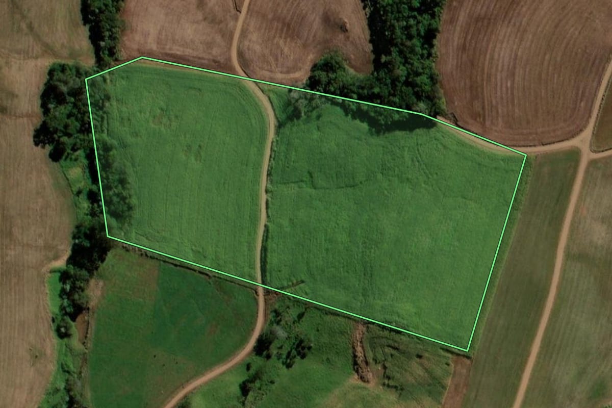 Imagem de satélite do imóvel rural em Bela Vista da Caroba (PR), com o contorno declarado no CAR desenhado por cima.