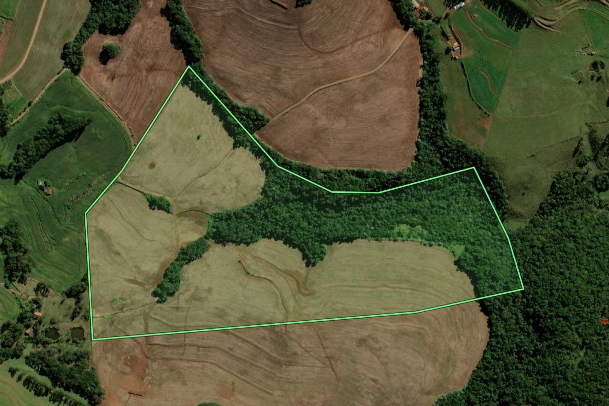 Imagem de satélite do imóvel rural em Bela Vista da Caroba (PR), com o contorno declarado no CAR desenhado por cima.
