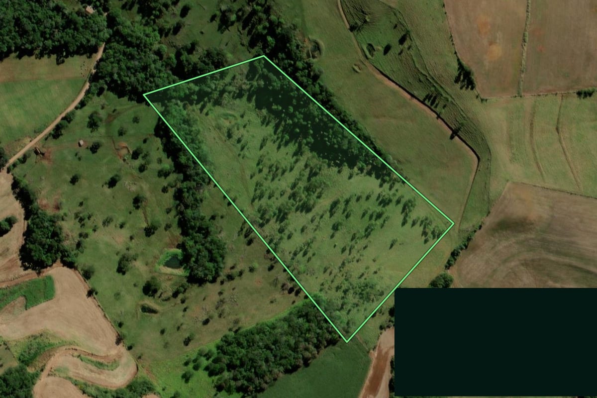 Imagem de satélite do imóvel rural em Bela Vista da Caroba (PR), com o contorno declarado no CAR desenhado por cima.