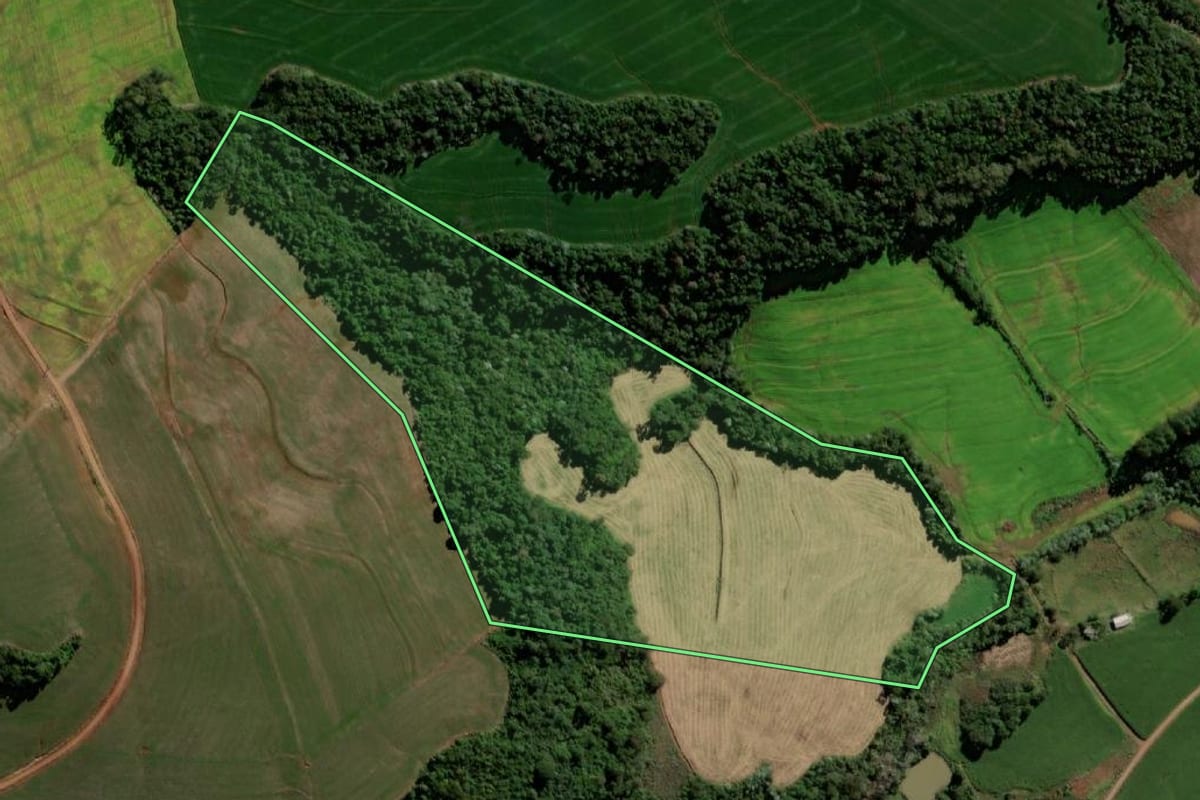 Imagem de satélite do imóvel rural em Bela Vista da Caroba (PR), com o contorno declarado no CAR desenhado por cima.