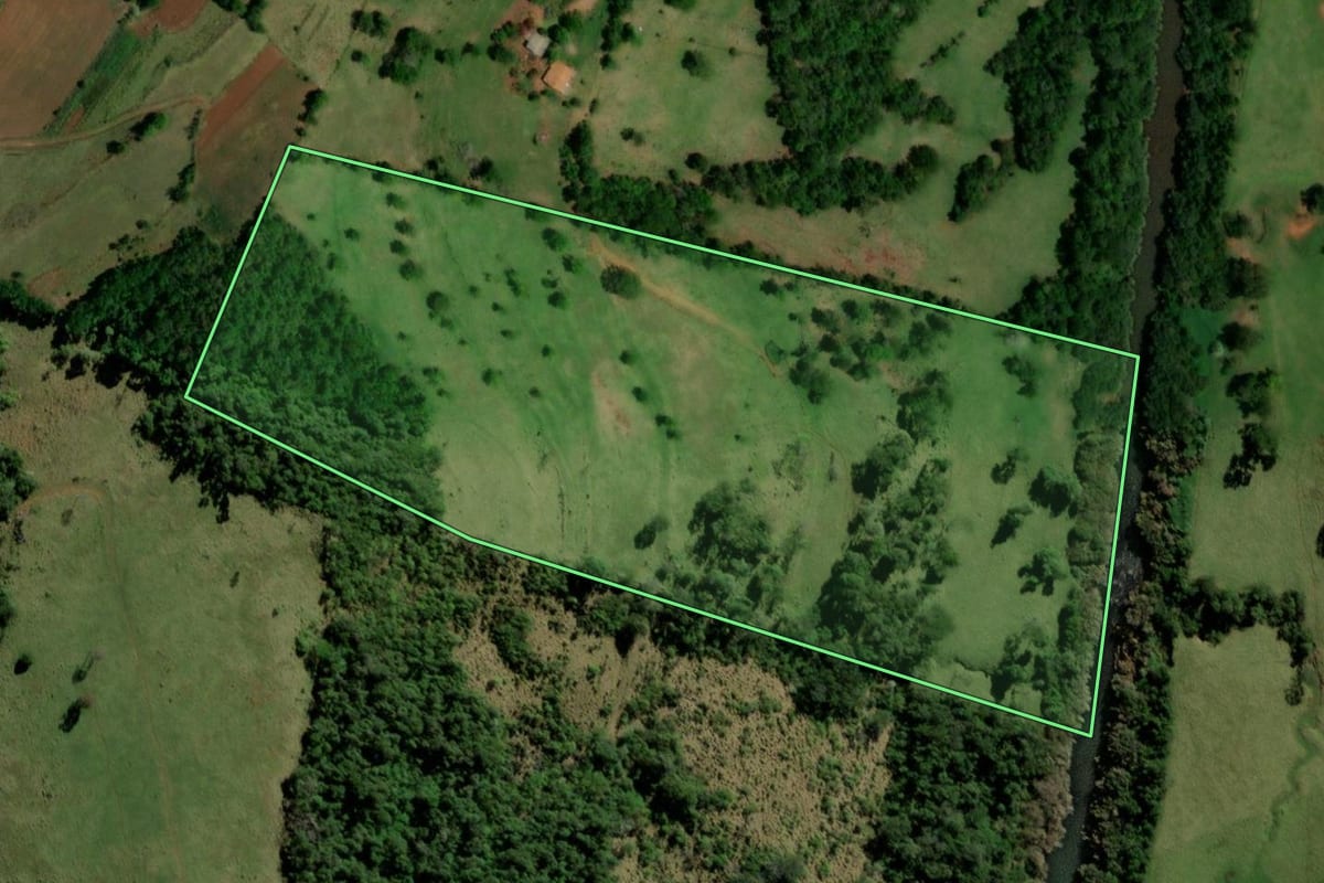 Imagem de satélite do imóvel rural em Bela Vista da Caroba (PR), com o contorno declarado no CAR desenhado por cima.