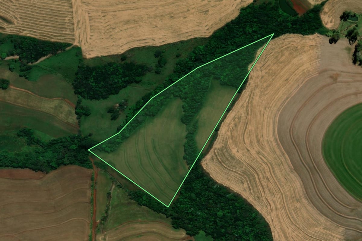 Imagem de satélite do imóvel rural em Bela Vista da Caroba (PR), com o contorno declarado no CAR desenhado por cima.