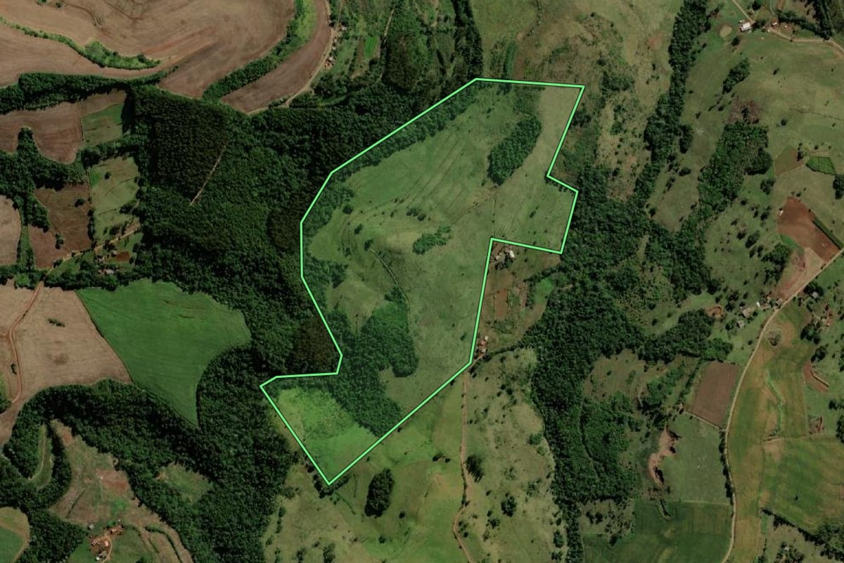 Imagem de satélite do imóvel rural em Bela Vista da Caroba (PR), com o contorno declarado no CAR desenhado por cima.