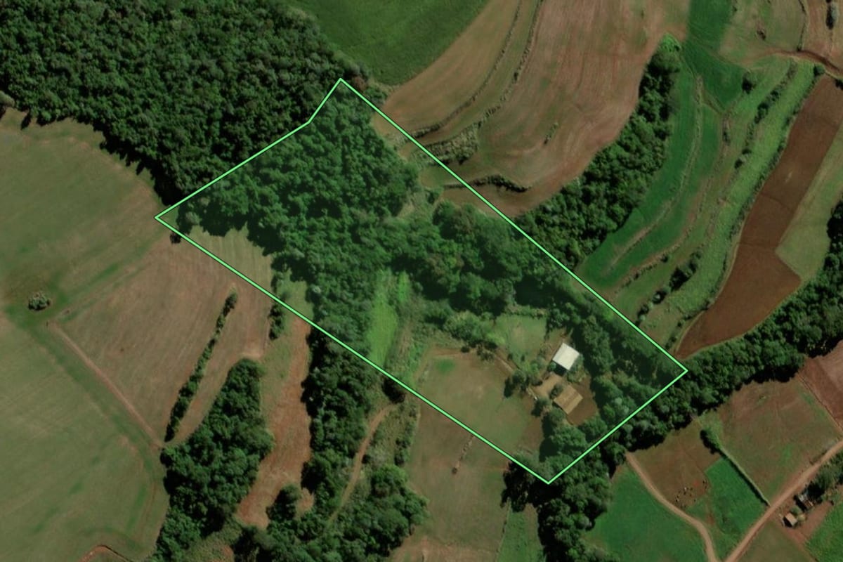 Imagem de satélite do imóvel rural em Bela Vista da Caroba (PR), com o contorno declarado no CAR desenhado por cima.