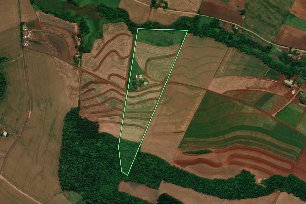Imagem de satélite do imóvel rural em Bela Vista da Caroba (PR), com o contorno declarado no CAR desenhado por cima.