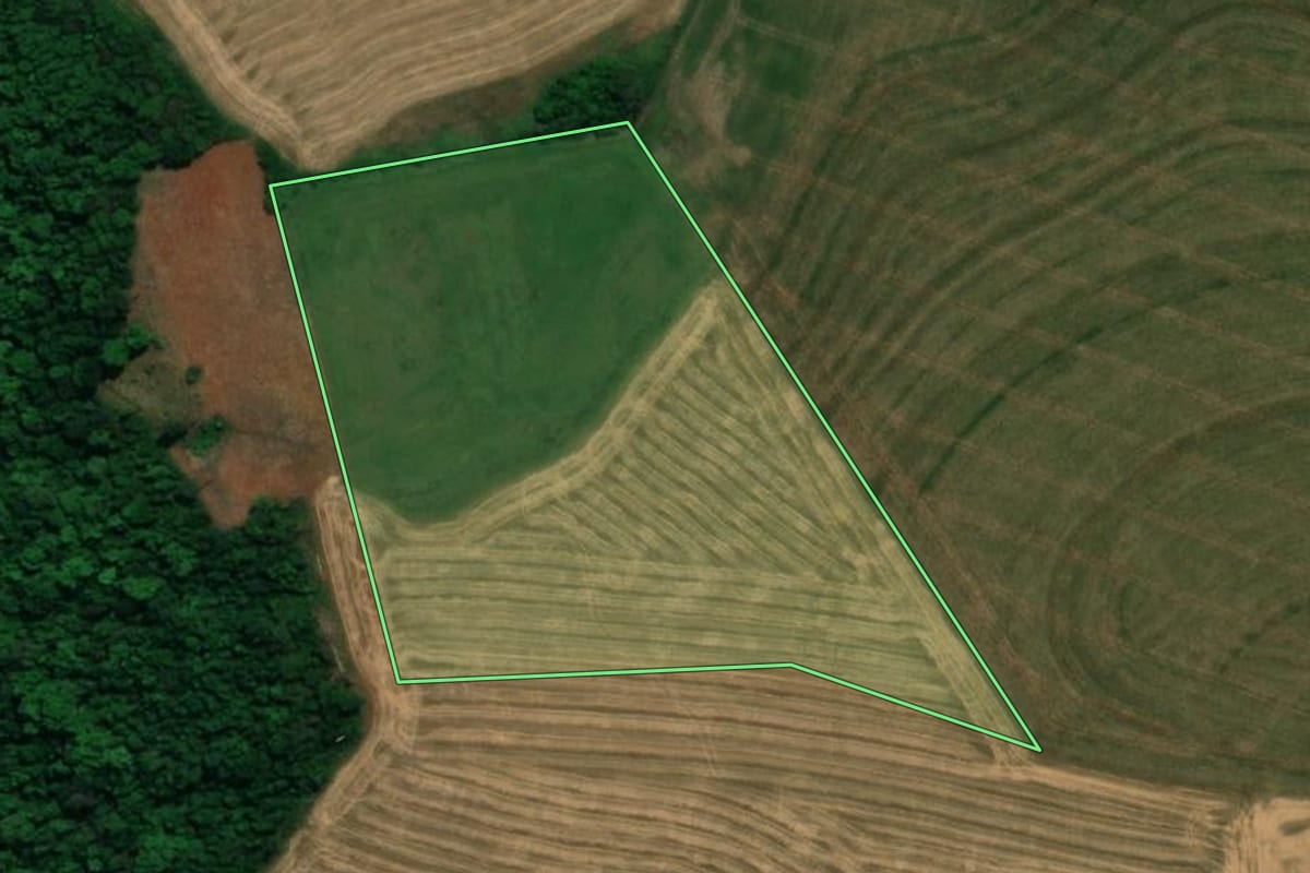 Imagem de satélite do imóvel rural em Bela Vista da Caroba (PR), com o contorno declarado no CAR desenhado por cima.