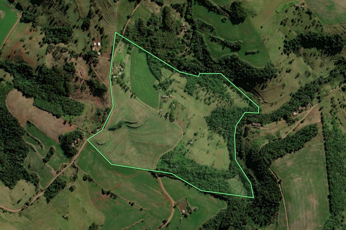 Imagem de satélite do imóvel rural em Bela Vista da Caroba (PR), com o contorno declarado no CAR desenhado por cima.