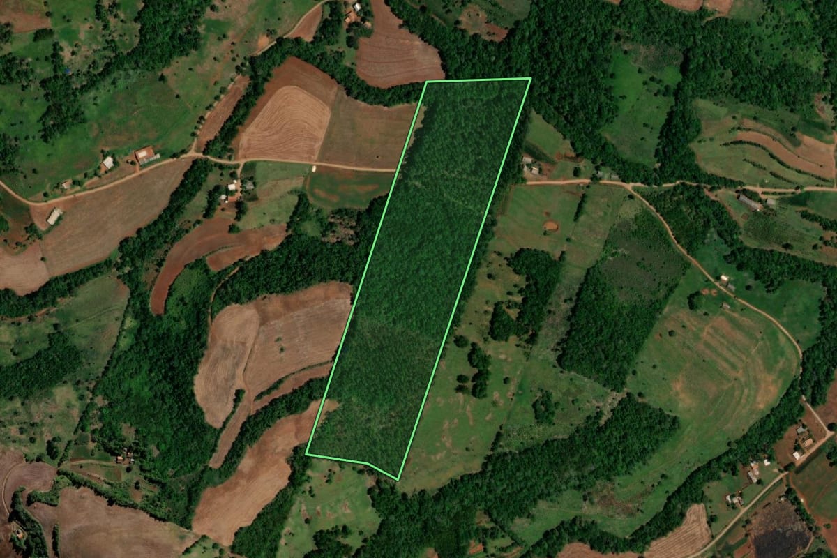 Imagem de satélite do imóvel rural em Bela Vista da Caroba (PR), com o contorno declarado no CAR desenhado por cima.