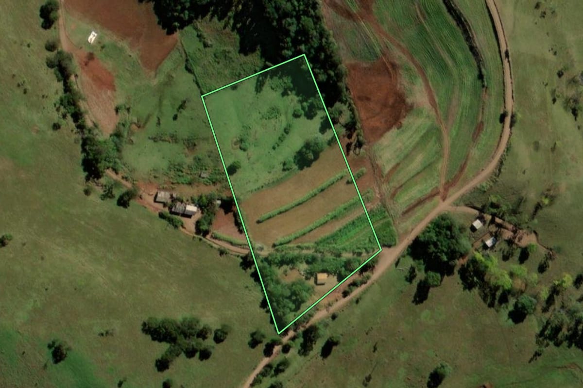 Imagem de satélite do imóvel rural em Bela Vista da Caroba (PR), com o contorno declarado no CAR desenhado por cima.