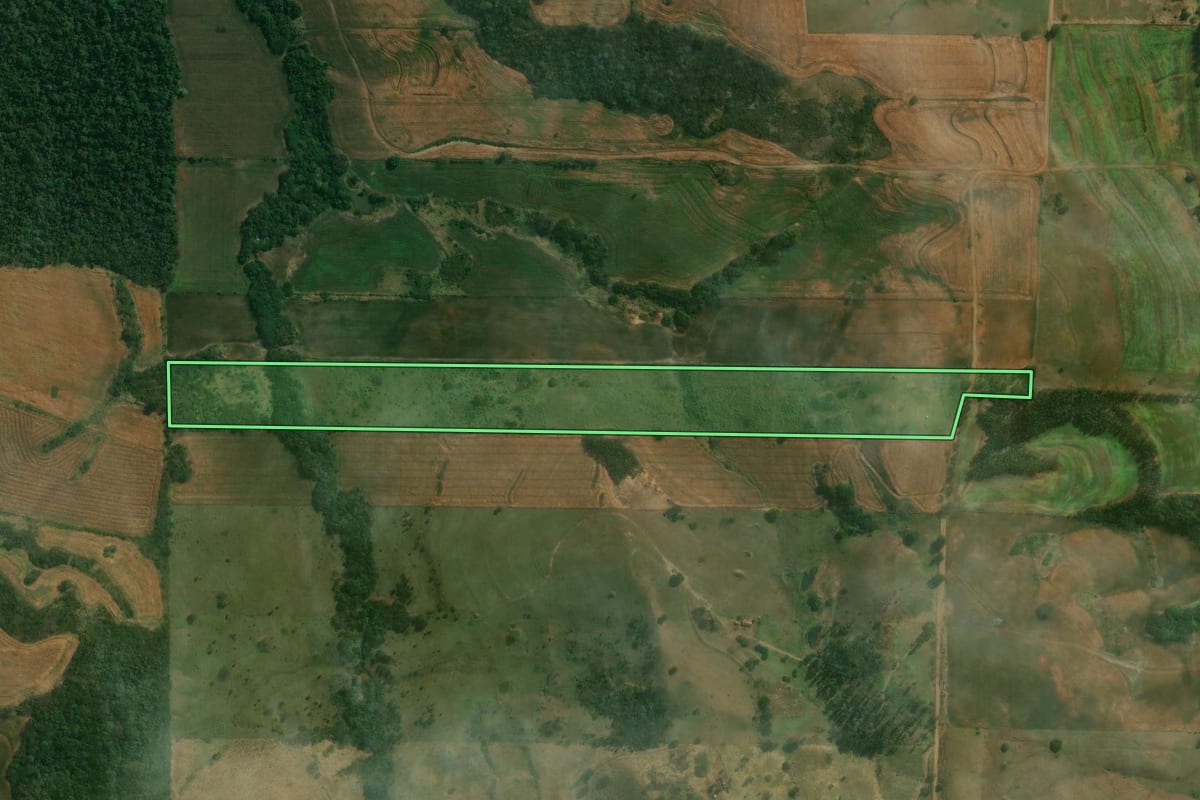 Imagem de satélite do imóvel rural em Bela Vista do Paraíso (PR), com o contorno declarado no CAR desenhado por cima.