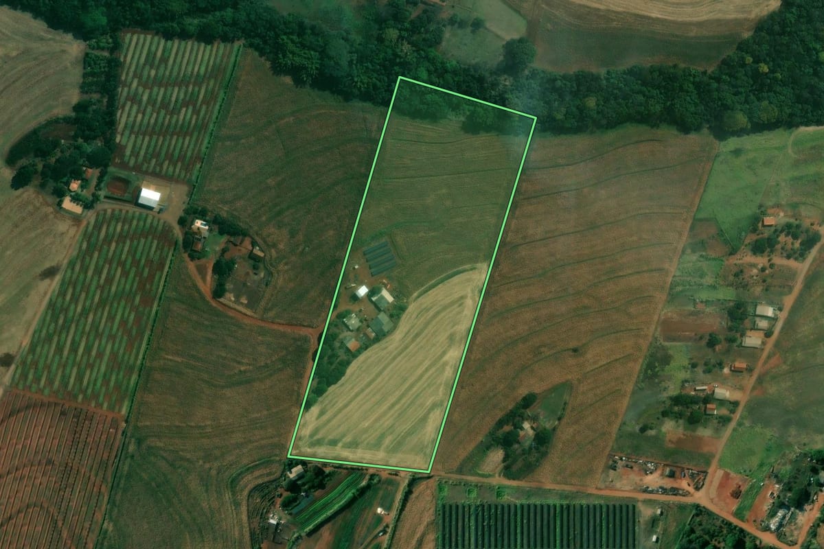 Imagem de satélite do imóvel rural em Bela Vista do Paraíso (PR), com o contorno declarado no CAR desenhado por cima.