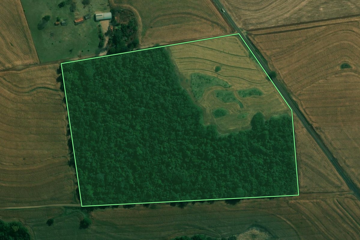 Imagem de satélite do imóvel rural em Bela Vista do Paraíso (PR), com o contorno declarado no CAR desenhado por cima.
