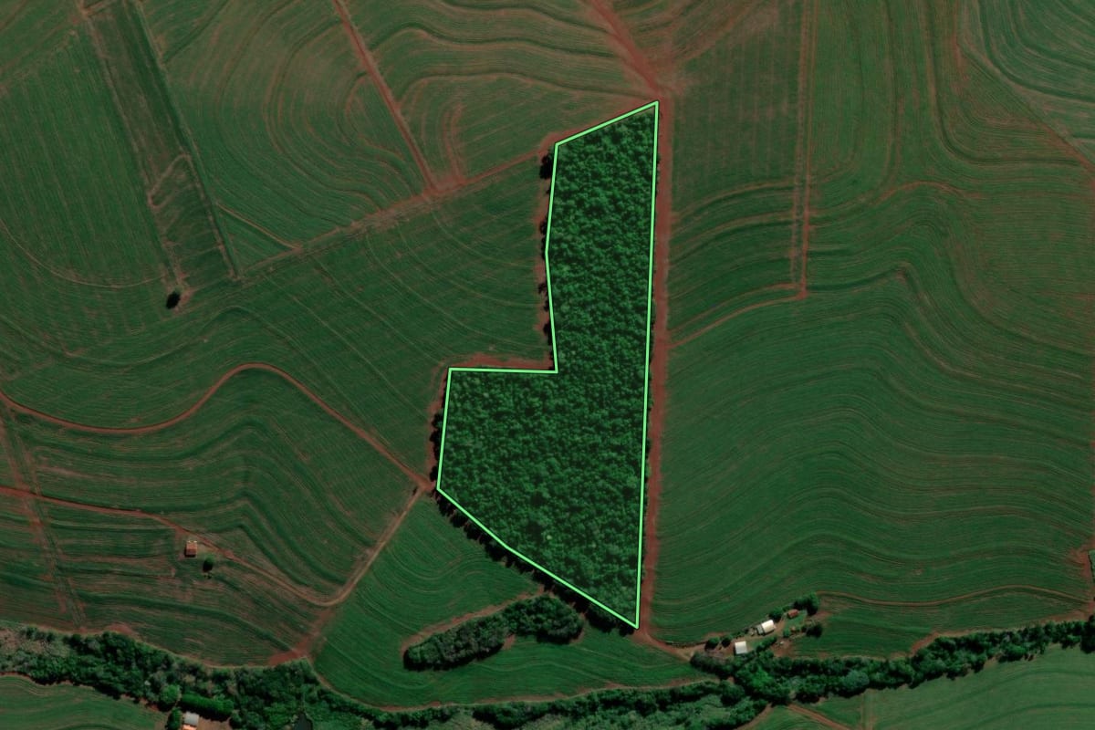 Imagem de satélite do imóvel rural em Bela Vista do Paraíso (PR), com o contorno declarado no CAR desenhado por cima.