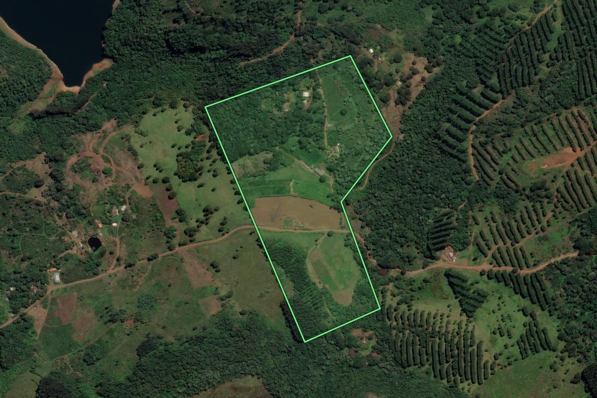 Imagem de satélite do imóvel rural em Bituruna (PR), com o contorno declarado no CAR desenhado por cima.