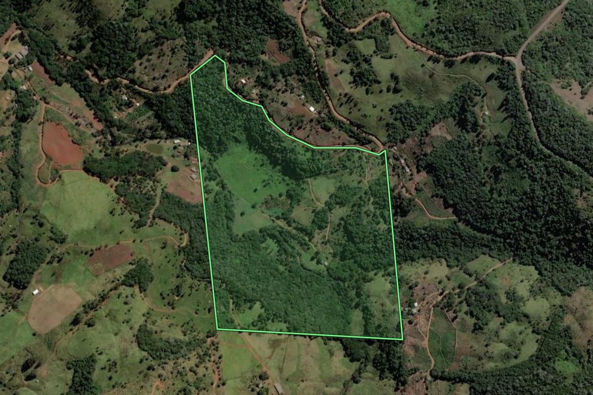 Imagem de satélite do imóvel rural em Bituruna (PR), com o contorno declarado no CAR desenhado por cima.
