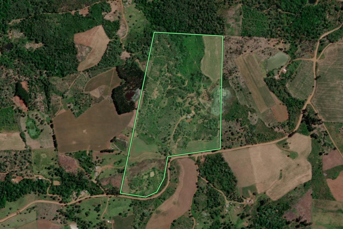 Imagem de satélite do imóvel rural em Bituruna (PR), com o contorno declarado no CAR desenhado por cima.