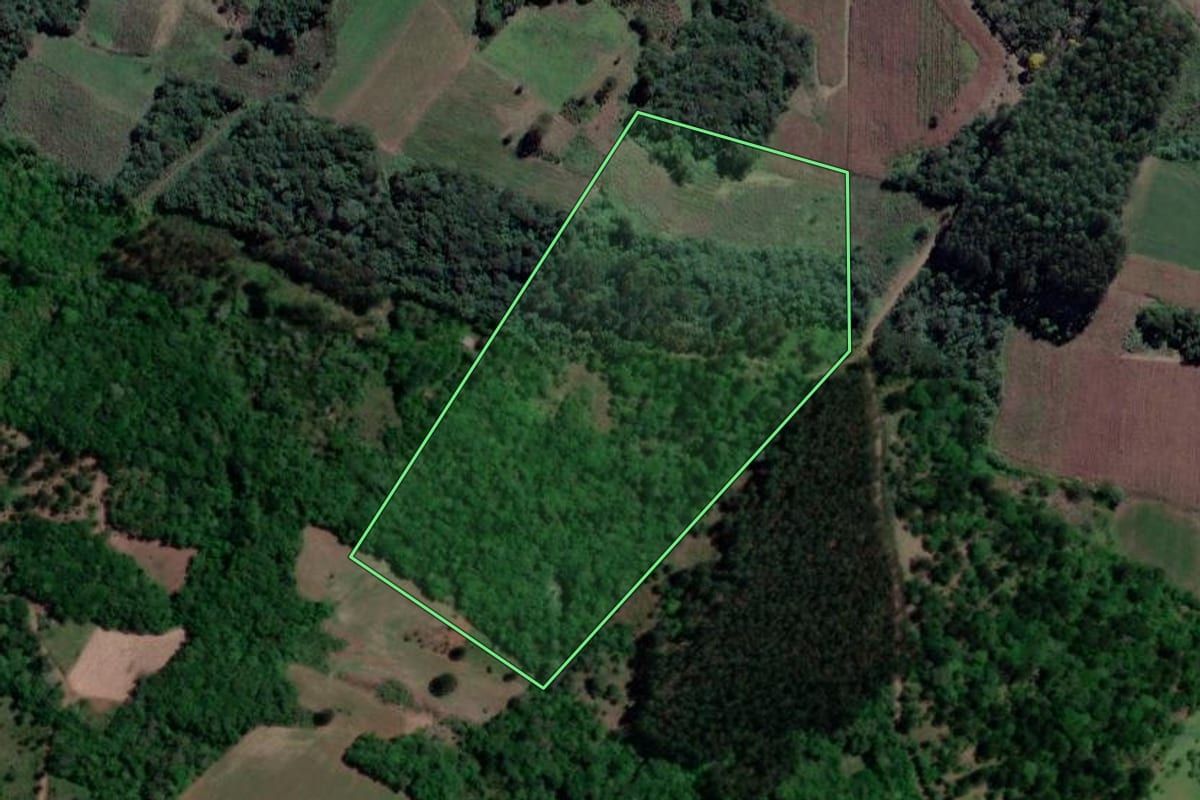 Imagem de satélite do imóvel rural em Bituruna (PR), com o contorno declarado no CAR desenhado por cima.