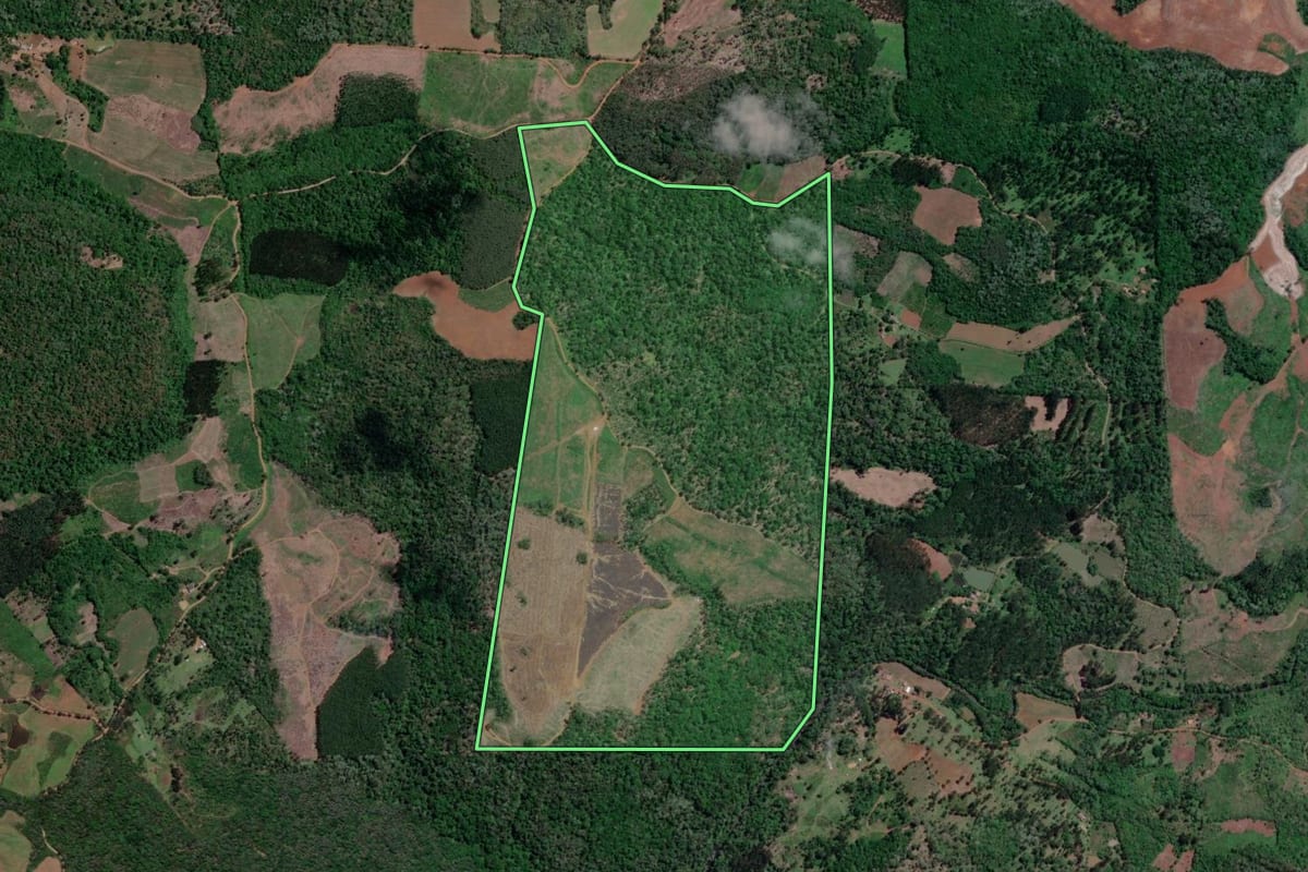 Imagem de satélite do imóvel rural em Bituruna (PR), com o contorno declarado no CAR desenhado por cima.