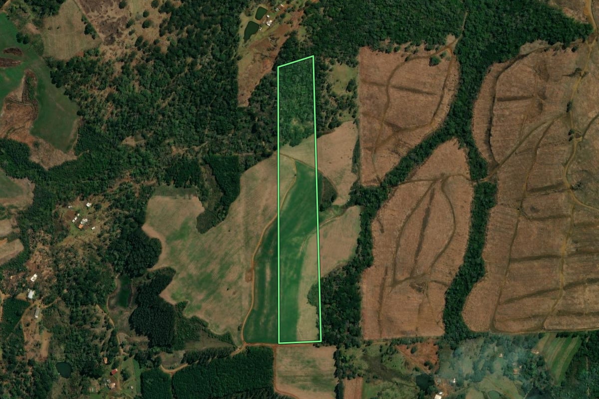 Imagem de satélite do imóvel rural em Bituruna (PR), com o contorno declarado no CAR desenhado por cima.