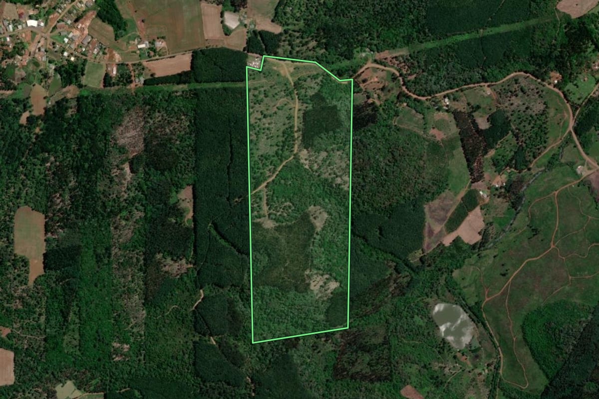 Imagem de satélite do imóvel rural em Bituruna (PR), com o contorno declarado no CAR desenhado por cima.