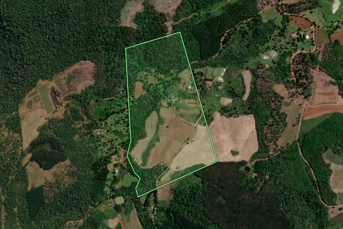 Imagem de satélite do imóvel rural em Bituruna (PR), com o contorno declarado no CAR desenhado por cima.