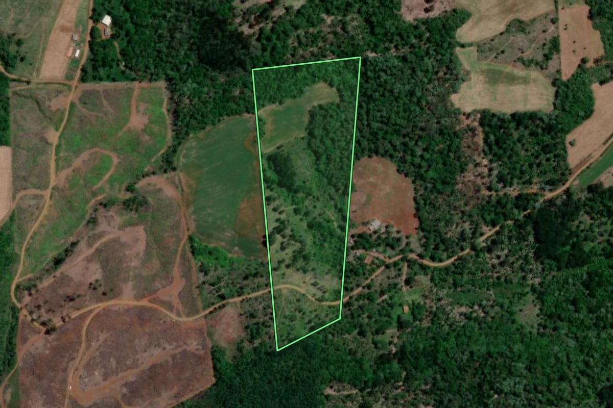Imagem de satélite do imóvel rural em Bituruna (PR), com o contorno declarado no CAR desenhado por cima.