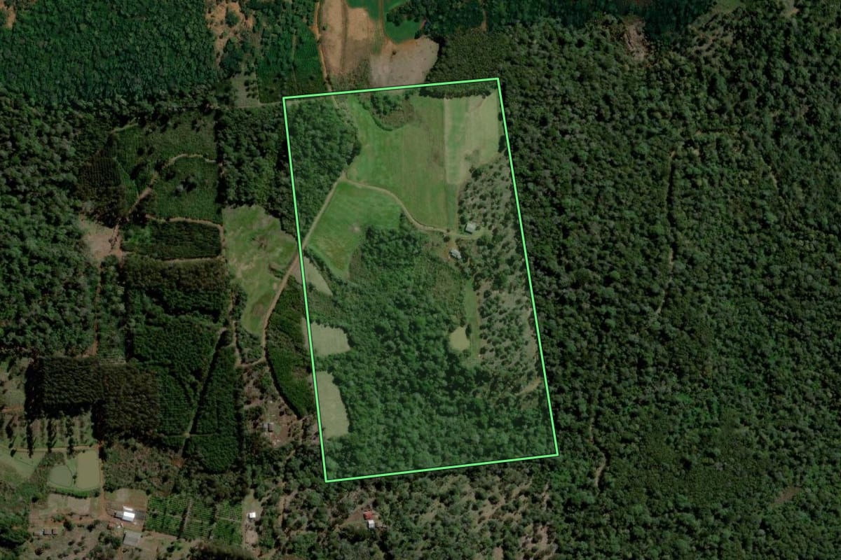 Imagem de satélite do imóvel rural em Bituruna (PR), com o contorno declarado no CAR desenhado por cima.
