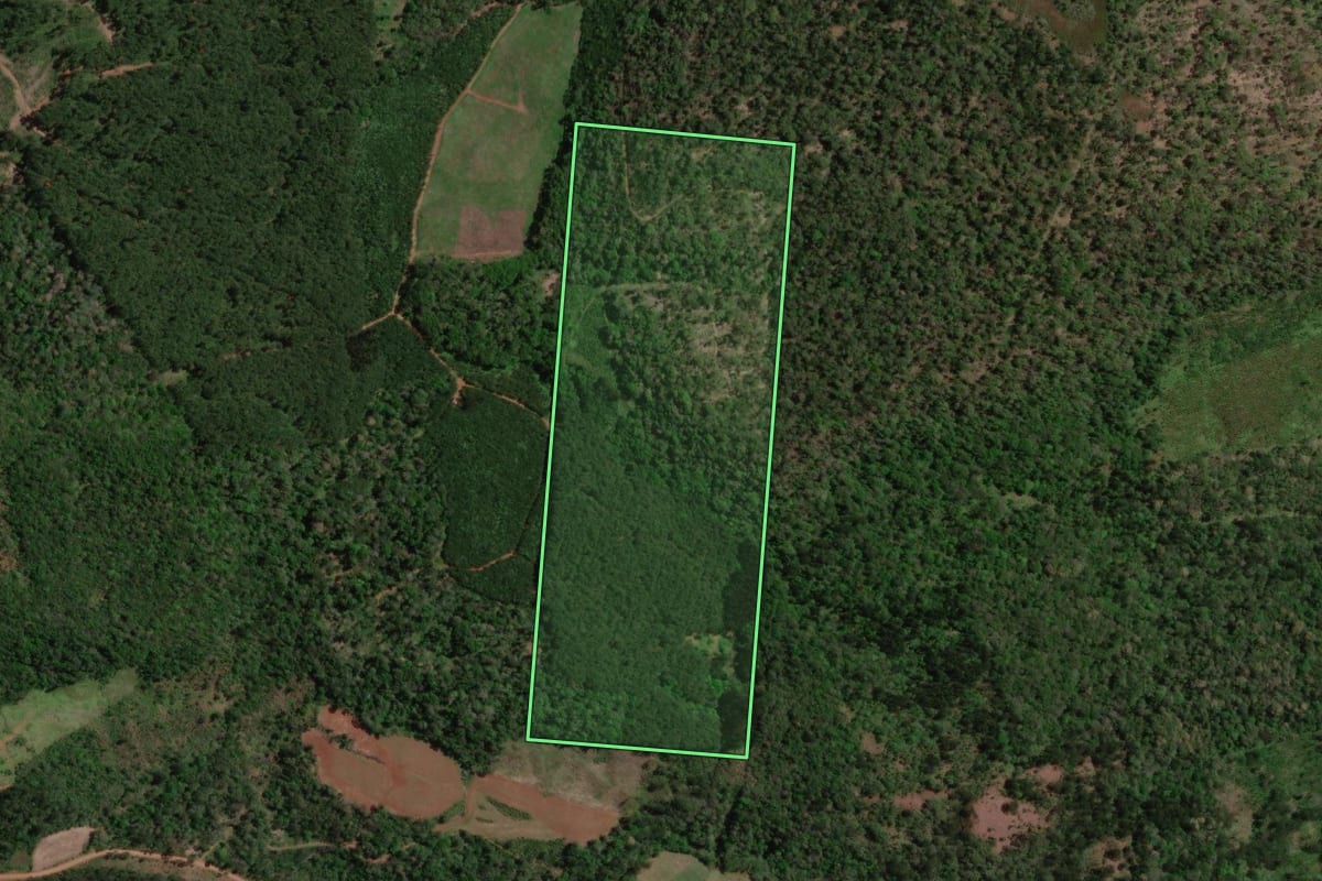 Imagem de satélite do imóvel rural em Bituruna (PR), com o contorno declarado no CAR desenhado por cima.