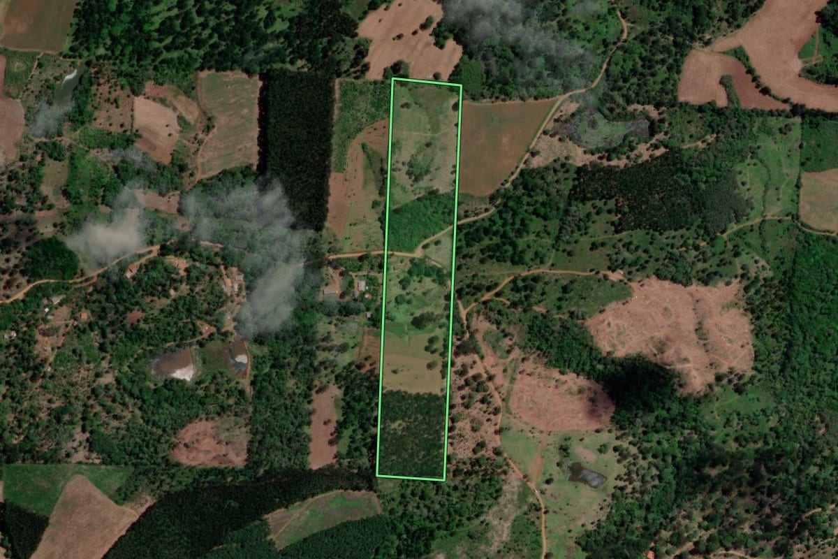 Imagem de satélite do imóvel rural em Bituruna (PR), com o contorno declarado no CAR desenhado por cima.
