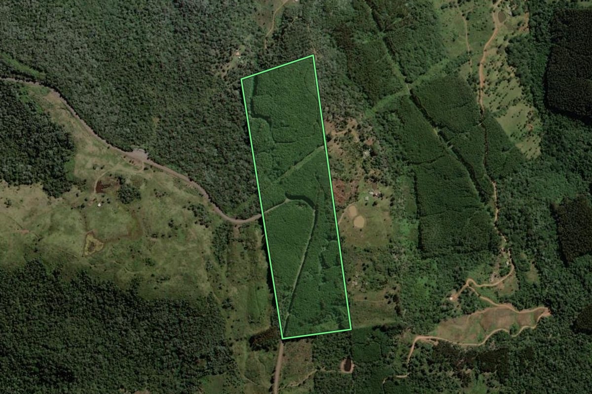 Imagem de satélite do imóvel rural em Bituruna (PR), com o contorno declarado no CAR desenhado por cima.