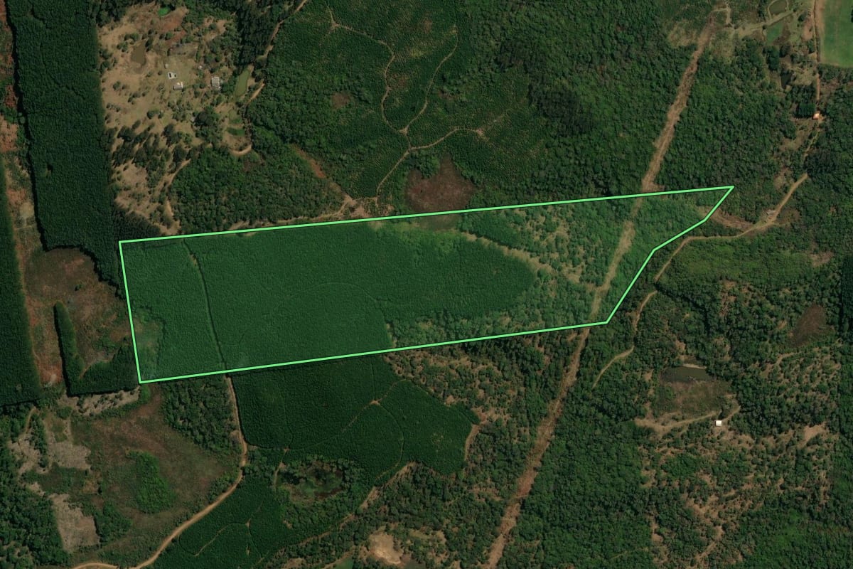 Imagem de satélite do imóvel rural em Bituruna (PR), com o contorno declarado no CAR desenhado por cima.
