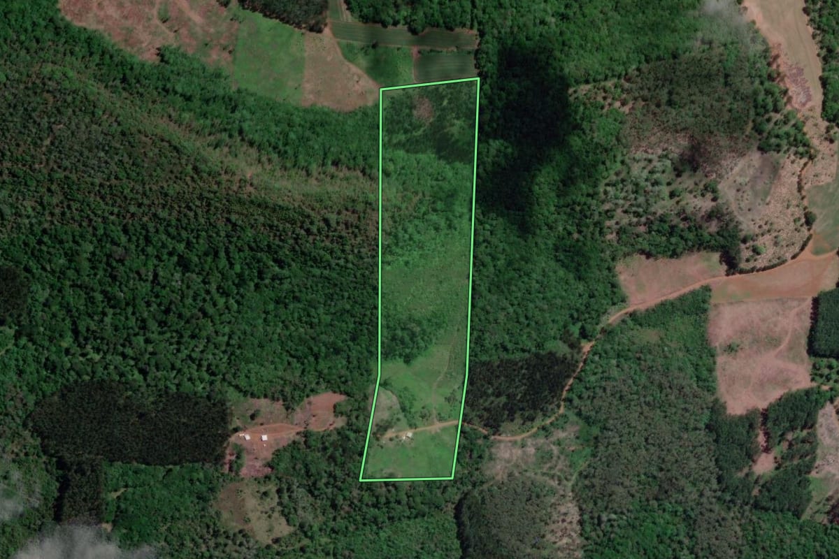 Imagem de satélite do imóvel rural em Bituruna (PR), com o contorno declarado no CAR desenhado por cima.