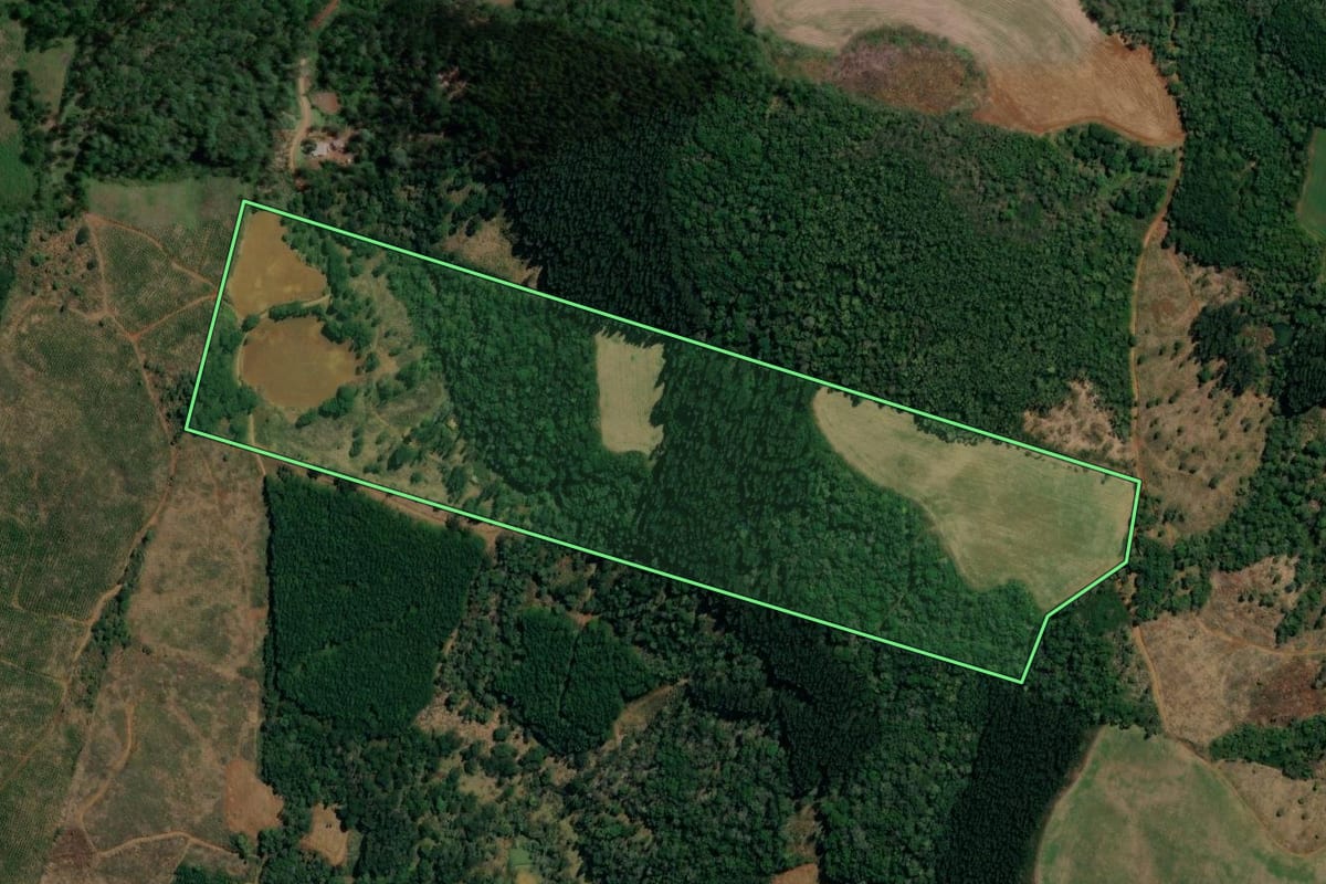 Imagem de satélite do imóvel rural em Bituruna (PR), com o contorno declarado no CAR desenhado por cima.