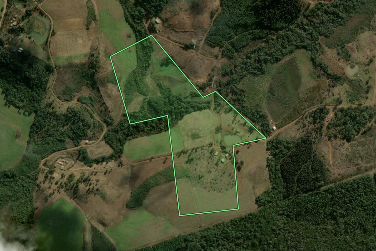 Imagem de satélite do imóvel rural em Bituruna (PR), com o contorno declarado no CAR desenhado por cima.