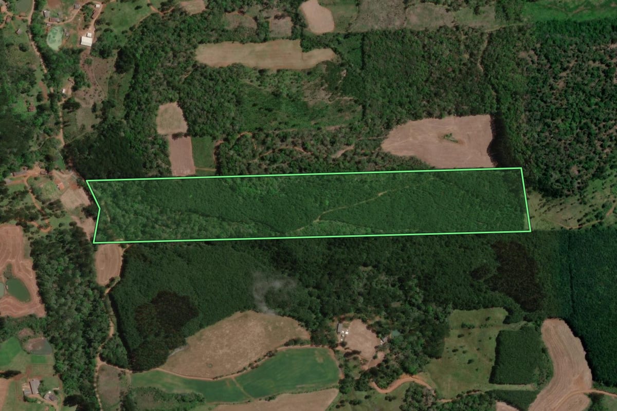 Imagem de satélite do imóvel rural em Bituruna (PR), com o contorno declarado no CAR desenhado por cima.