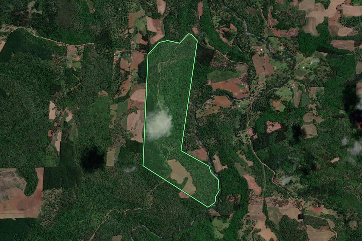 Imagem de satélite do imóvel rural em Bituruna (PR), com o contorno declarado no CAR desenhado por cima.