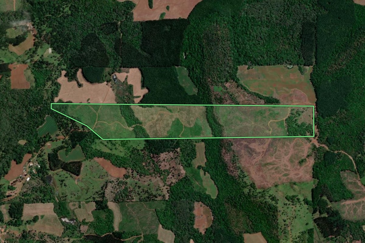 Imagem de satélite do imóvel rural em Bituruna (PR), com o contorno declarado no CAR desenhado por cima.