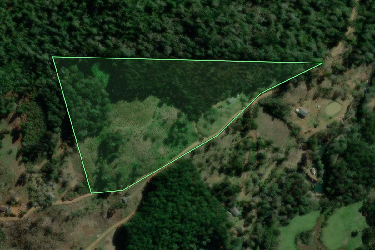Imagem de satélite do imóvel rural em Bituruna (PR), com o contorno declarado no CAR desenhado por cima.