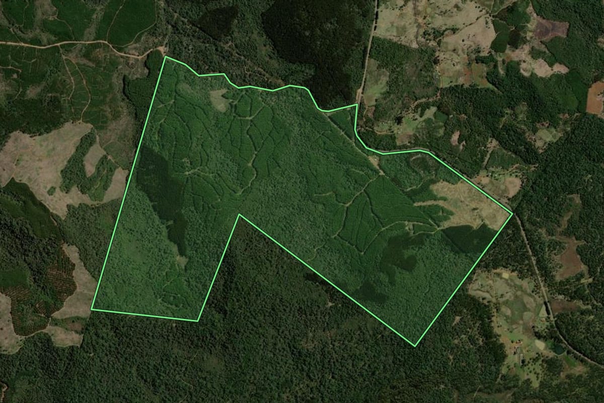 Imagem de satélite do imóvel rural em Bituruna (PR), com o contorno declarado no CAR desenhado por cima.