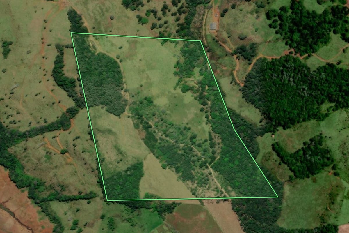 Imagem de satélite do imóvel rural em Bituruna (PR), com o contorno declarado no CAR desenhado por cima.