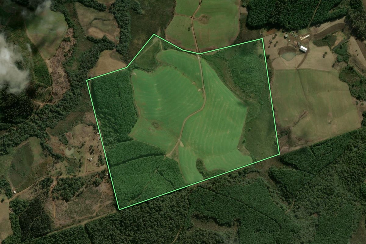 Imagem de satélite do imóvel rural em Bituruna (PR), com o contorno declarado no CAR desenhado por cima.