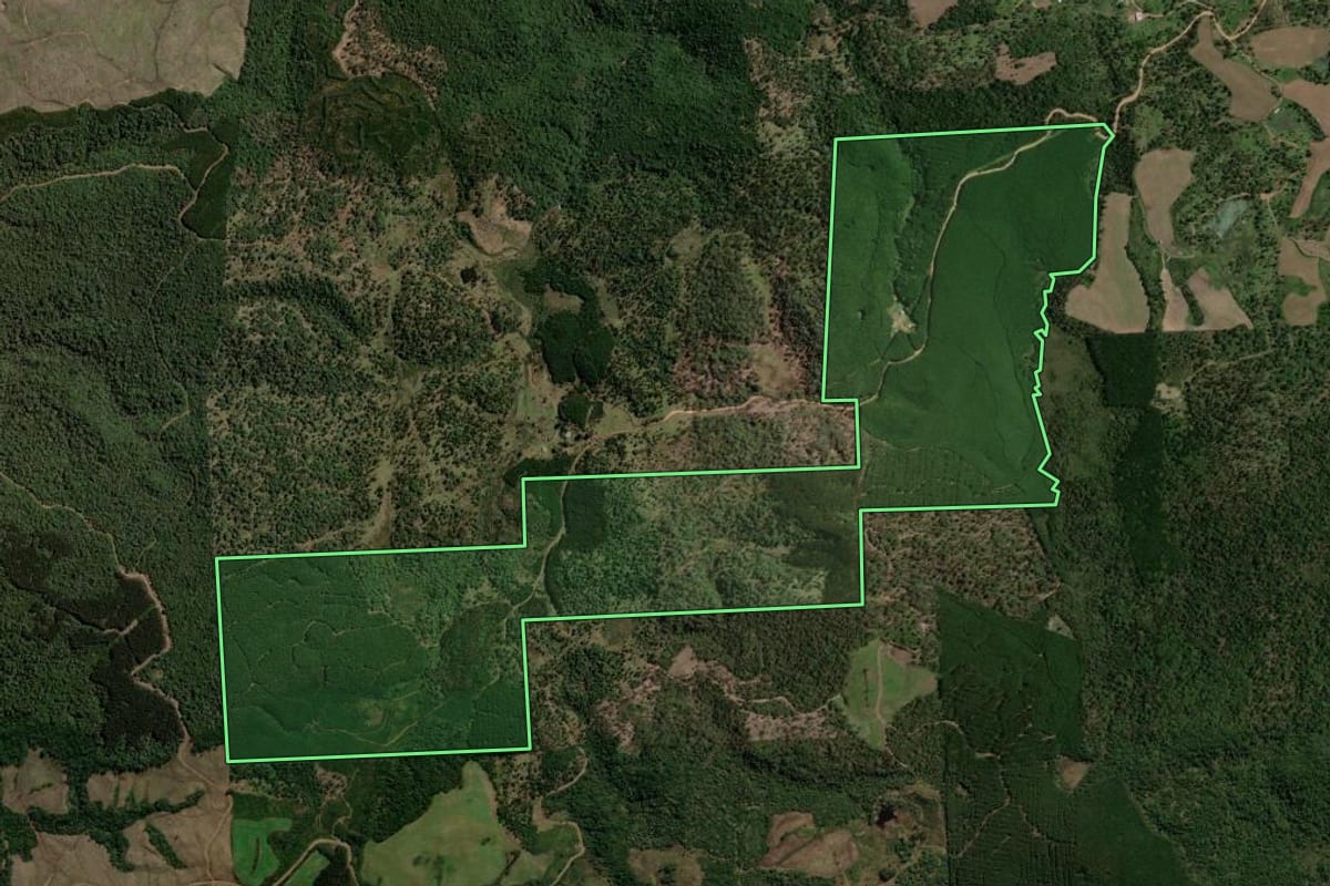 Imagem de satélite do imóvel rural em Bituruna (PR), com o contorno declarado no CAR desenhado por cima.