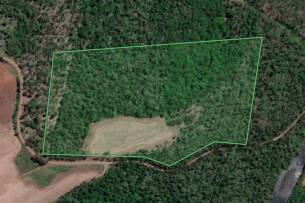 Imagem de satélite do imóvel rural em Bituruna (PR), com o contorno declarado no CAR desenhado por cima.