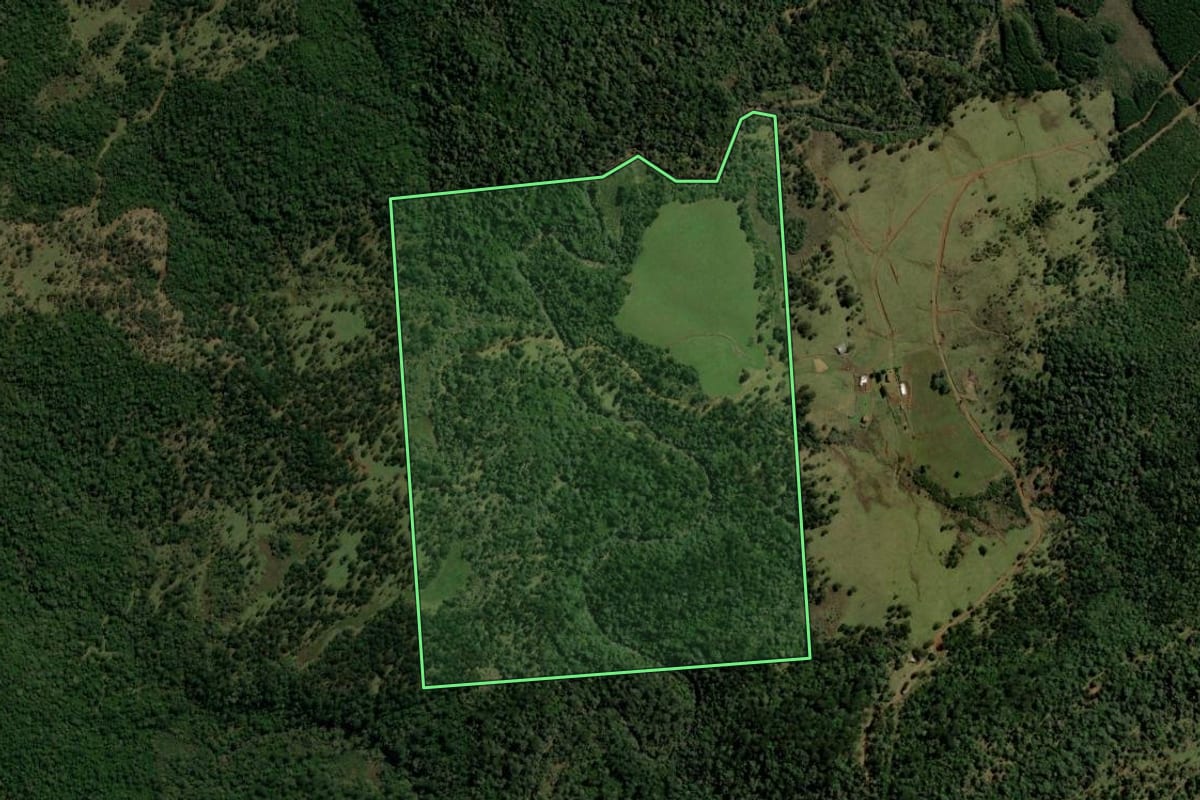 Imagem de satélite do imóvel rural em Bituruna (PR), com o contorno declarado no CAR desenhado por cima.
