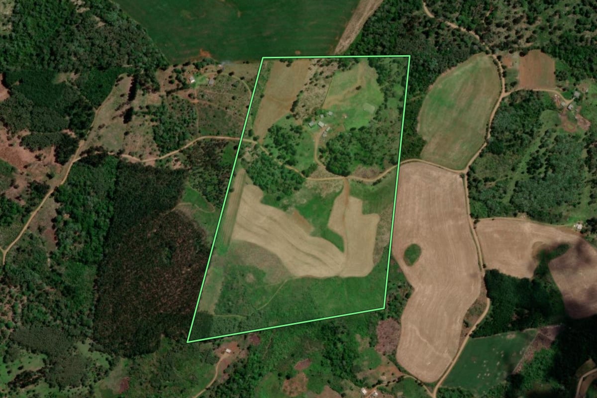 Imagem de satélite do imóvel rural em Bituruna (PR), com o contorno declarado no CAR desenhado por cima.