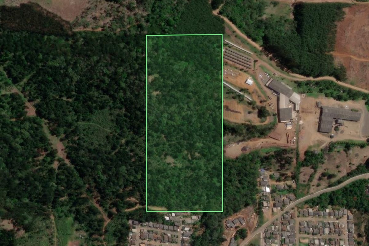 Imagem de satélite do imóvel rural em Bituruna (PR), com o contorno declarado no CAR desenhado por cima.