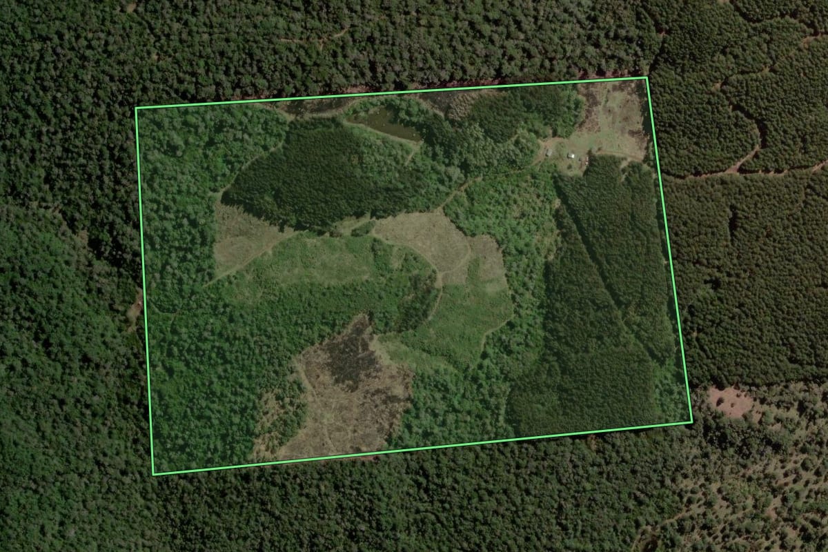 Imagem de satélite do imóvel rural em Bituruna (PR), com o contorno declarado no CAR desenhado por cima.